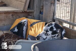 Hutamix-25-01-w13-001