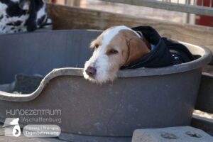 Hutamix-25-01-w13-002