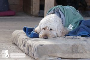 Hutamix-25-01-w13-004