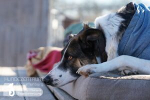 Hutamix-25-01-w13-005