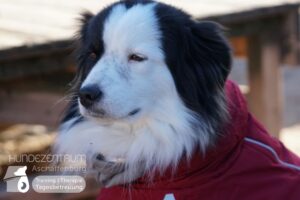 Hutamix-25-01-w13-006