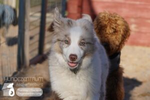 Hutamix-25-01-w13-007