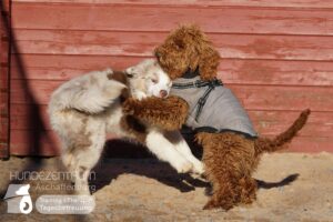 Hutamix-25-01-w13-008