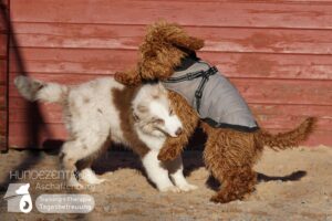 Hutamix-25-01-w13-009