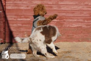 Hutamix-25-01-w13-010