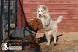 Hutamix-25-01-w13-011