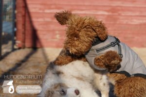 Hutamix-25-01-w13-012