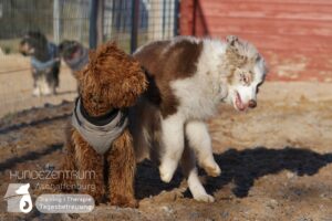 Hutamix-25-01-w13-013