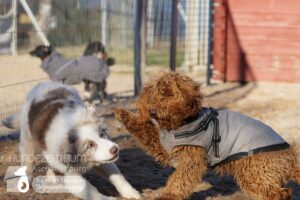 Hutamix-25-01-w13-014