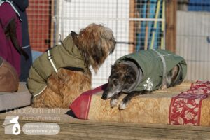 Hutamix-25-01-w13-015