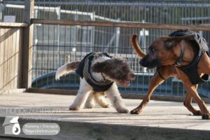 Hutamix-25-01-w13-016