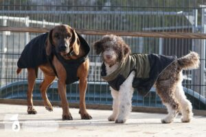 Hutamix-25-01-w13-018