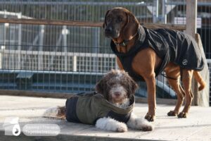 Hutamix-25-01-w13-019