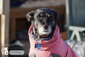 Hutamix-25-01-w13-021