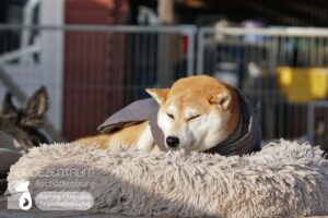 Hutamix-25-01-w13-022