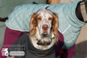 Hutamix-25-01-w13-023