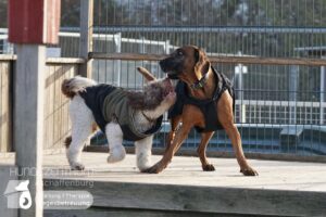 Hutamix-25-01-w13-024