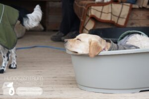 Hutamix-25-01-w13-027