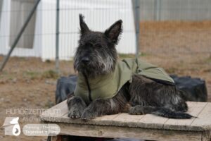 Hutamix-25-01-w13-030