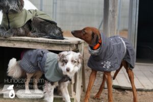 Hutamix-25-01-w13-031