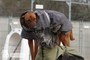 Hutamix-25-01-w13-032