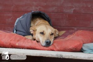 Hutamix-25-01-w13-035