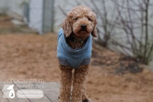 Hutamix-25-01-w13-037