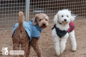 Hutamix-25-01-w13-038