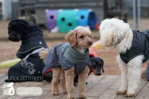 Hutamix-25-01-w13-039