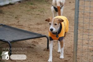 Hutamix-25-01-w13-040