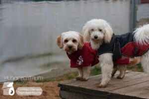 Hutamix-25-01-w13-043