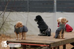 Hutamix-25-01-w13-044