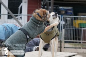 Hutamix-25-01-w13-046