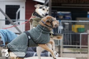 Hutamix-25-01-w13-047