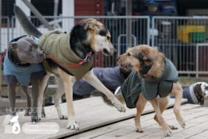 Hutamix-25-01-w13-048