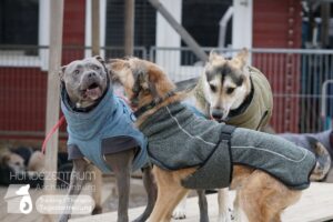 Hutamix-25-01-w13-049