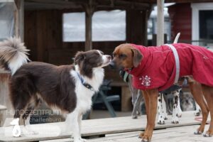 Hutamix-25-01-w13-050