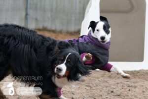 Hutamix-25-01-w13-056