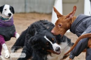 Hutamix-25-01-w13-057