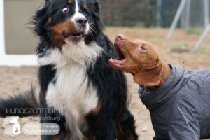 Hutamix-25-01-w13-059