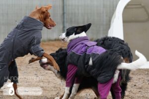 Hutamix-25-01-w13-060