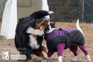 Hutamix-25-01-w13-064