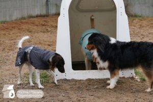 Hutamix-25-01-w13-065