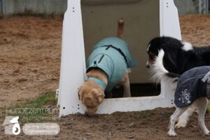 Hutamix-25-01-w13-066