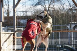 Hutamix-25-01-w13-069