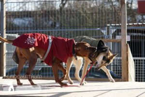 Hutamix-25-01-w13-070