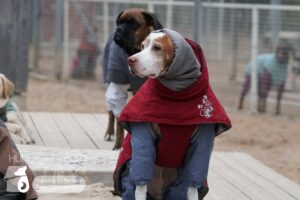 Hutamix-25-01-w13-072