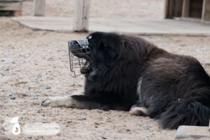 Hutamix-25-01-w13-073