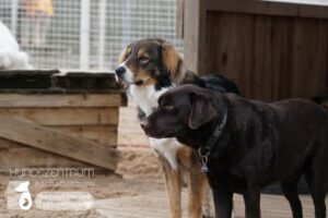 Hutamix-25-01-w13-074