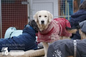 Hutamix-25-01-w13-077